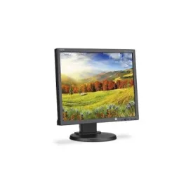 LCD1970V-12734 - NEC MultiSync 19-inch LCD Monitor
