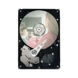 ST3300820SCE - Seagate 300GB 7200RPM 3.5-inc DB35.3 Hard Drive