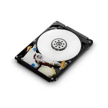 0A73252 HGST