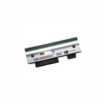 41001-A1 Zebra