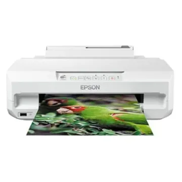 C11CD36401 Epson