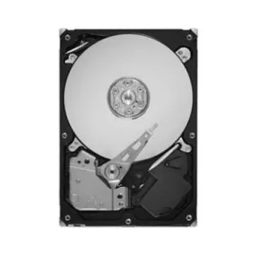 STM3160813AS Seagate