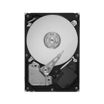 STM3320613AS Seagate